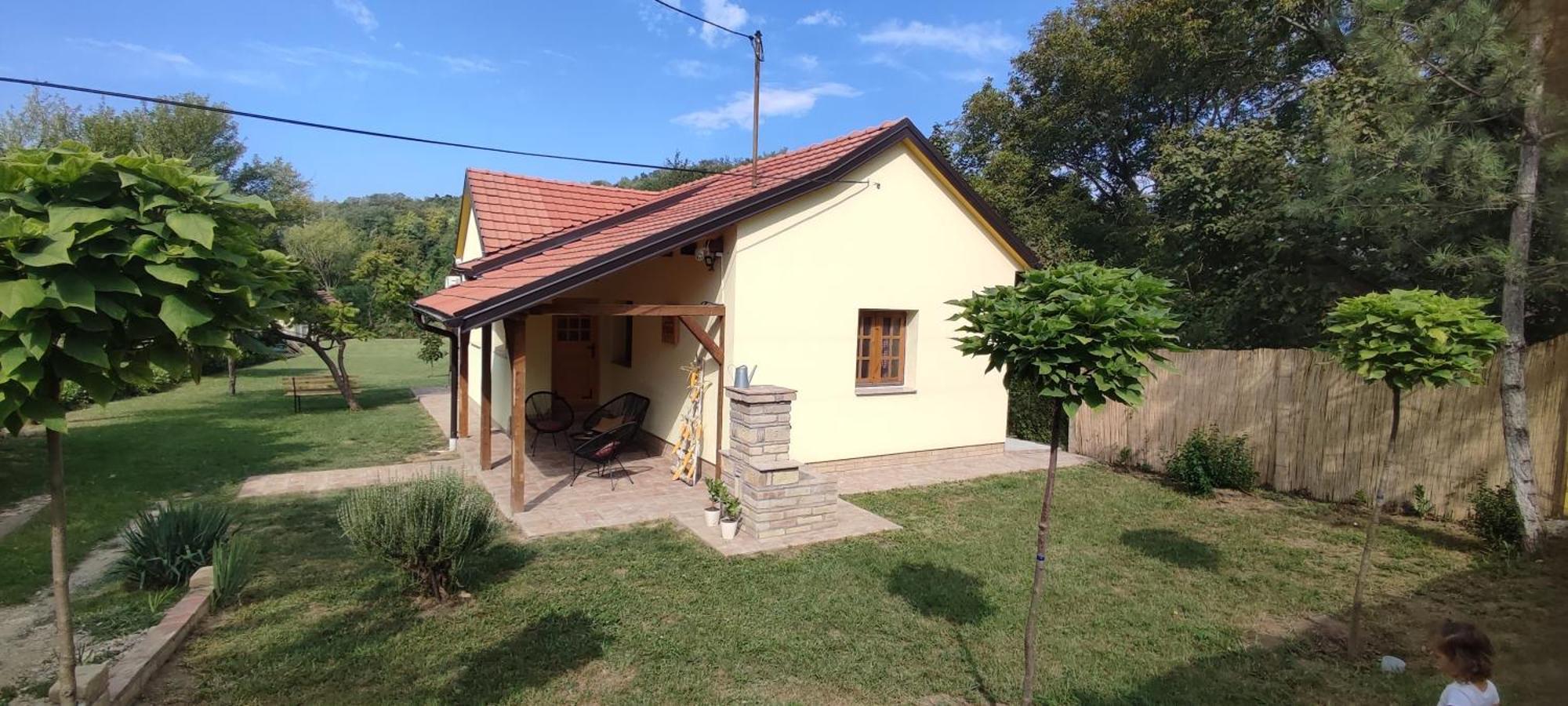 Fruska House Vila Besenovacki Prnjavor Exterior foto